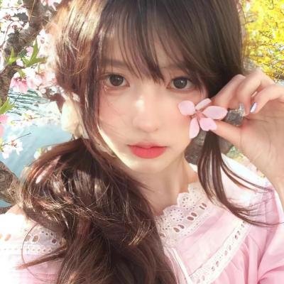 动画新番